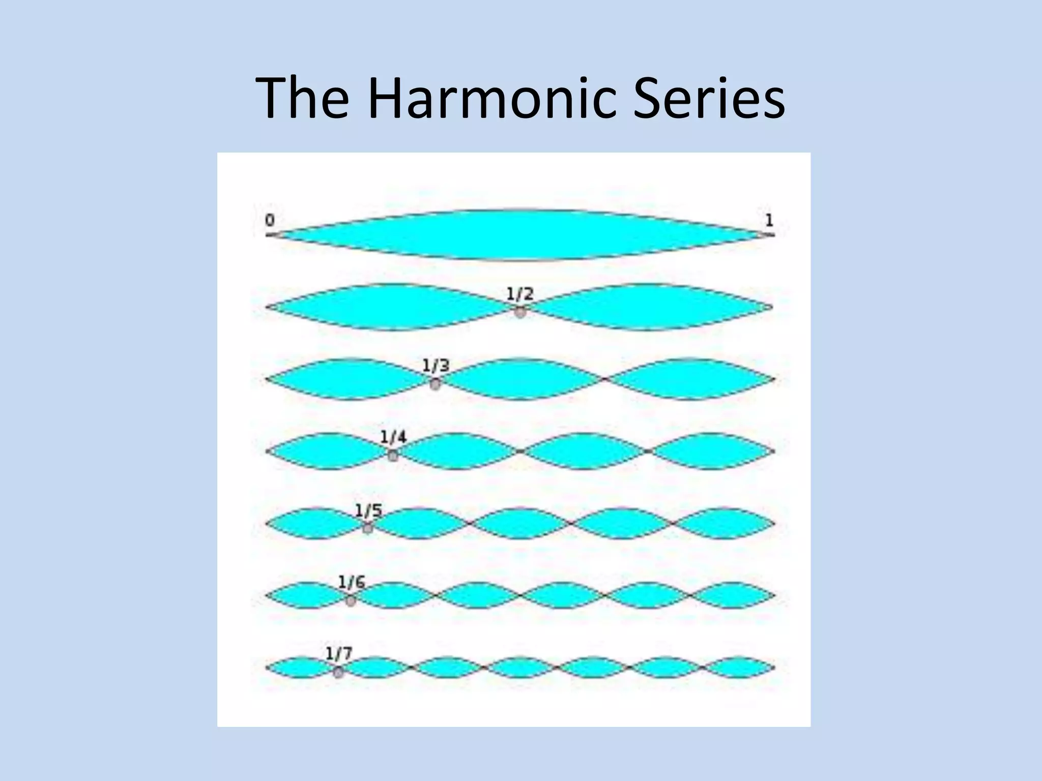 The Harmonic Series