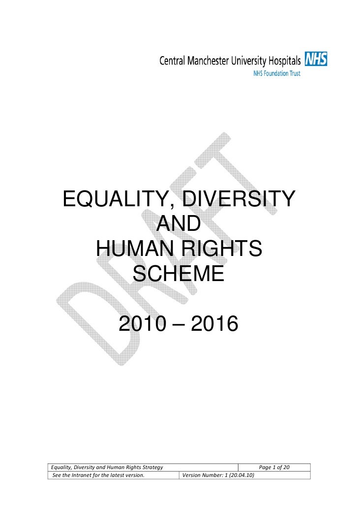 Diversity rights and equality essay