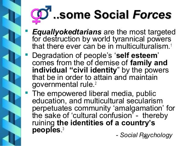 social studies definition social studies definition