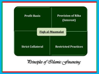 The Islamic Finance