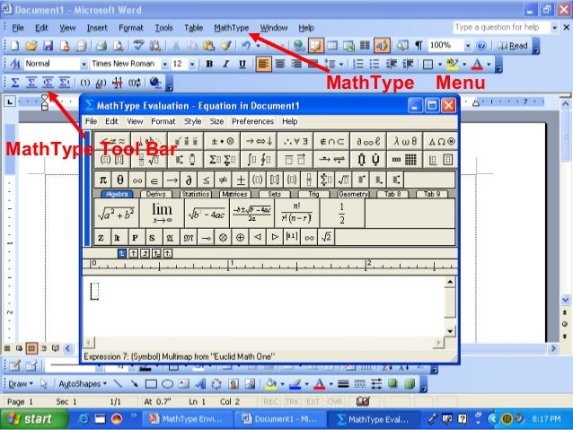 mathtype word