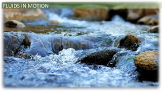 source deephive
FLUIDS IN MOTION
 