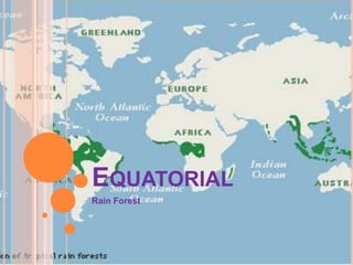 EQUATORIAL
Rain Forest

 