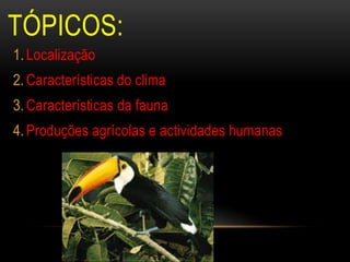 TÓPICOS:
1. Localização
2. Características do clima
3. Características da fauna
4. Produções agrícolas e actividades humanas
 