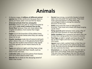 Animals
• A diverse range of millions of different animal
species live in the rainforests because there is
plenty of: food, water and warmth for them.
• Arboreal animals that live among the
branches need to be able to move from tree to
tree whilst only small creatures live on the
forest floor because they can move about the
tangled shrubbery more easily than larger
animals.
• Eagles sit on the branches of the tallest trees,
looking for animals below who they can swoop
down on to eat.
• Howler monkeys make lots of noise to tell each
other where they are in the gloomy forest floor.
They are the loudest land animal in the world
and their growls can be heard clearly for 20
miles.
• Tapirs are active at night and they have a long
snout to pull food into their mouth, such as
fallen fruits and nuts.
• Leafcutter ants cut out tiny pieces from leaves
and carry them back to their nest.
• Weevils like to feed on the decaying wood of
fallen tree trunks.
• Parrots have strong, curved bills (beaks) to break
open nuts and seeds from giant trees. They have
multi-coloured feathers to help them stay
camouflaged (hidden) among the colourful
blossoms of the trees.
• Sloths have hook-like claws to help grip the
branches. They move very slowly and sleep hanging
upside down.
• Flying squirrels glide between trees using a flap of
loose skin that connects its front and hind legs.
• Spider monkeys have a powerful tail which they use
to help them swing quickly from branch to branch.
• Tree frogs are light in weight and have discs at the
tips of their fingers and toes to help them grasp
tree leaves.
• Jaguars have a dark, spotted body so that they can
creep up on and ambush prey without being seen.
To kill, they bite directly through the skull between
the ears and into the brain.
• Chameleons can change the colour of their skin to
help them camouflage (hide) from any predators.
They also have long tongues that can flick out and
stretch up to twice their body size to catch insects.
 