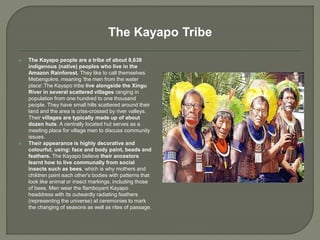  The Kayapo people are a tribe of about 8,638
indigenous (native) peoples who live in the
Amazon Rainforest. They like to call themselves
Mebengokre, meaning 'the men from the water
place'.The Kayapo tribe live alongside the Xingu
River in several scattered villages ranging in
population from one hundred to one thousand
people. They have small hills scattered around their
land and the area is criss-crossed by river valleys.
Their villages are typically made up of about
dozen huts. A centrally located hut serves as a
meeting place for village men to discuss community
issues.
 Their appearance is highly decorative and
colourful, using: face and body paint, beads and
feathers. The Kayapo believe their ancestors
learnt how to live communally from social
insects such as bees, which is why mothers and
children paint each other's bodies with patterns that
look like animal or insect markings, including those
of bees. Men wear the flamboyant Kayapo
headdress with its outwardly radiating feathers
(representing the universe) at ceremonies to mark
the changing of seasons as well as rites of passage.
The Kayapo Tribe
 