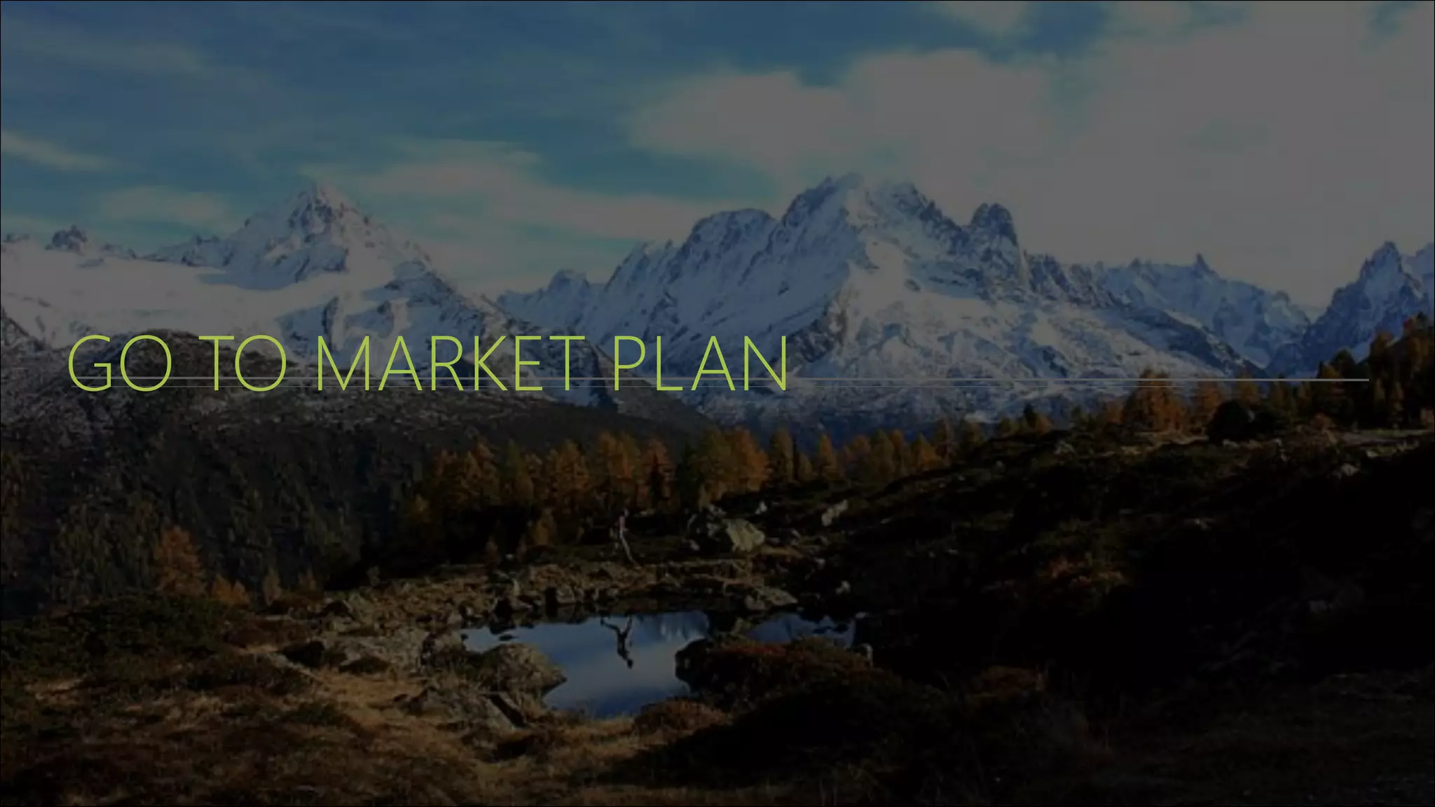 GO TO MARKET PLAN
 