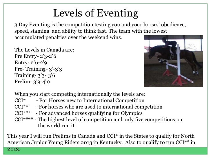 Equestrian 3 day eventing powerpoint