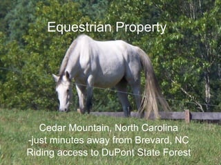 Equestrian Property Cedar Mountain, North Carolina -just minutes away from Brevard, NC Riding access to DuPont State Forest 