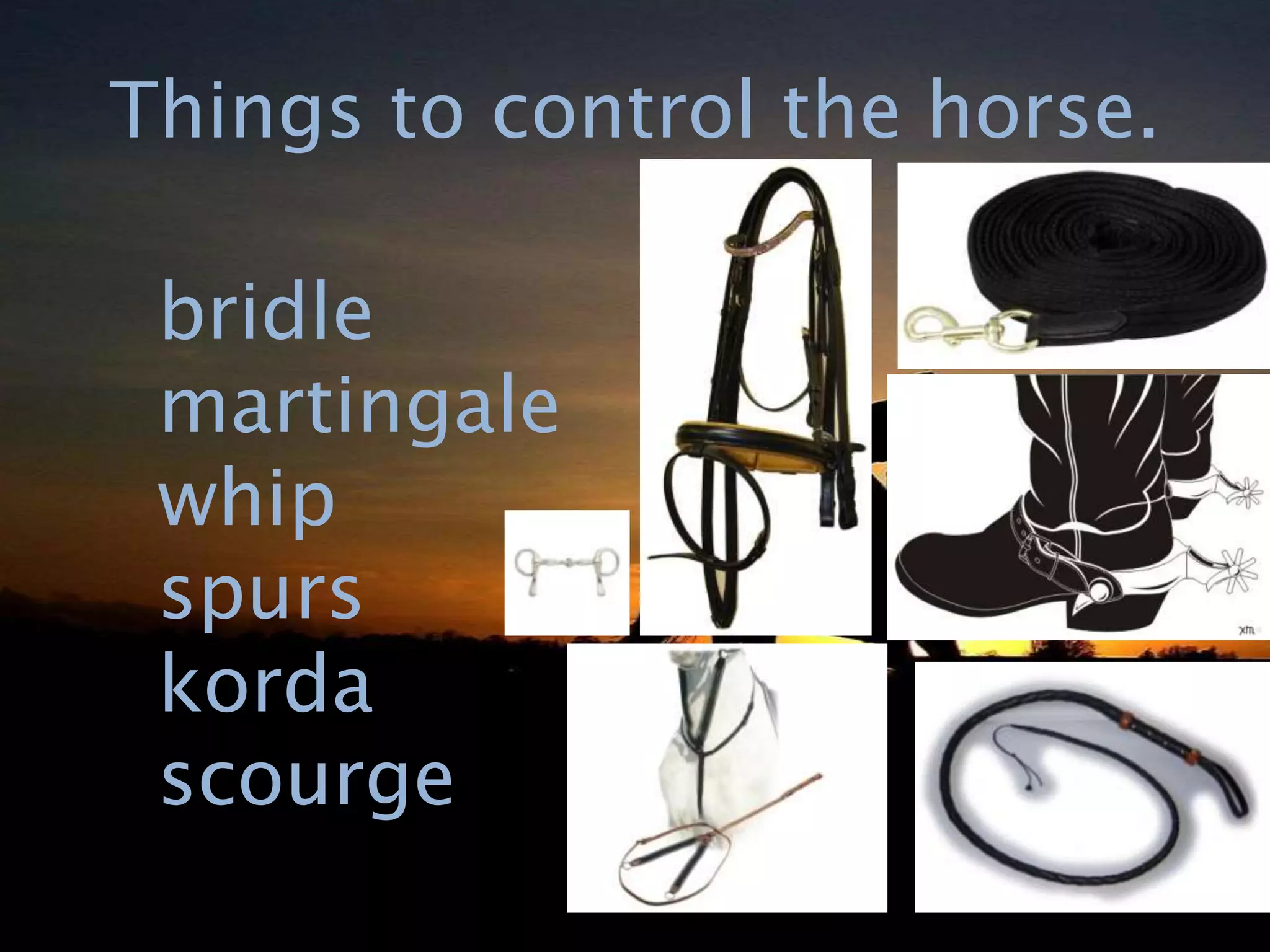Things to control the horse.
bridle
martingale
whip
spurs
korda
scourge
 