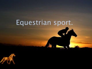 Equestrian sport.
 