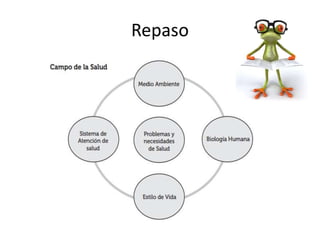Repaso
 