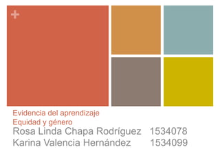 +




Evidencia del aprendizaje
Equidad y género
Rosa Linda Chapa Rodríguez 1534078
Karina Valencia Hernández  1534099
 