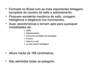 • Formada no Brasil com as mais importantes linhagens
européias de cavalos de salto e adestramento.
• Possuem excelente mecânica de salto, coragem,
inteligência e elegância nos movimentos.
• Suas características o tornam apto para quaisquer
modalidades de:
» Salto;
» Adestramento;
» Concurso completo de equitação;
» Enduro;
» Hipismo rural;
» ou até mesmo atrelagem
• Altura média de 166 centímetros.
• São admitidas todas as pelagens.
 
