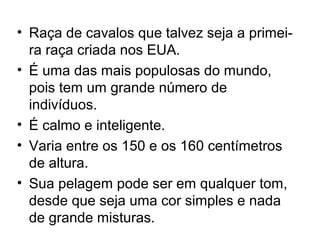 • Raça de cavalos que talvez seja a primei-
ra raça criada nos EUA.
• É uma das mais populosas do mundo,
pois tem um grande número de
indivíduos.
• É calmo e inteligente.
• Varia entre os 150 e os 160 centímetros
de altura.
• Sua pelagem pode ser em qualquer tom,
desde que seja uma cor simples e nada
de grande misturas.
 