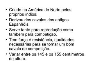 • Criado na América do Norte,pelos
próprios índios.
• Derivou dos cavalos dos antigos
Espanhóis.
• Serve tanto para reprodução como
também para competição.
• Tem força é resistência, qualidades
necessárias para se tornar um bom
cavalo de competição.
• Variar entre os 145 e os 155 centímetros
de altura.
 