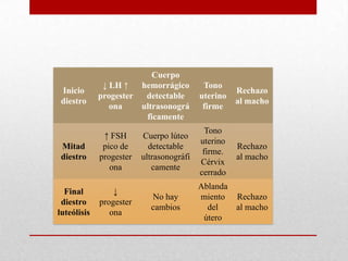 Inicio
diestro

Cuerpo
↓ LH ↑
hemorrágico
progester
detectable
ona
ultrasonográ
ficamente

Tono
uterino
firme

Rechazo
al macho

Mitad
diestro

↑ FSH
pico de
progester
ona

Cuerpo lúteo
detectable
ultrasonográfi
camente

Tono
uterino
firme.
Cérvix
cerrado

Rechazo
al macho

Final
diestro
luteólisis

↓
progester
ona

No hay
cambios

Ablanda
miento
del
útero

Rechazo
al macho

 