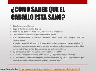 ¿COMO SABER QUE EL
CABALLO ESTA SANO?











Ojos limpios y brillantes.
Capa brillante, sin caída de pelo.
A la hora de comer lo hará bien, mascando con facilidad.
Orina casi transparente o de color amarillo pálido.
Sus extremidades y cascos deberán estar fríos, sin ningún tipo de
inflamaciones.
Al andar, repartirá el peso uniformemente entre sus cuatro extremidades (sin
embargo, tenga en cuenta que el cambio constante del peso de una extremidad
a otra, sobre todo en las delanteras, no es un buen síntoma.
Su temperatura correcta se sitúa alrededor de los 38ºC.
Su pulso, en reposo, oscilará entre las 36 y 42 pulsaciones por minuto.
Su respiración, también en reposo, variará entre las 8 y las 12 inspiraciones por
minuto, debiendo hacerse con suavidad y sin esfuerzo

uente Tomada De: http://www.elgalope.com/enfermedades-caballos.html

 