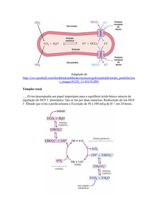Adaptado de
http://cwx.prenhall.com/bookbind/pubbooks/mcmurrygob/medialib/media_portfolio/tex
t_images/FG28_11-01UN.JPG
Tampão renal
......O rim desempenha um papel importante para o equilíbrio ácido-básico através da
regulação do HC0 3 plasmático. Isto se faz por duas maneiras: Reabsorção do íon HC0
3 filtrado que evita a perda urinaria e Excreção de 50 a 100 mEq de H + em 24 horas.
 