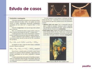 pauliño Estudo de casos 