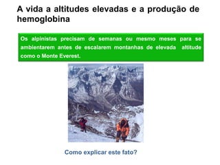 A vida a altitudes elevadas e a produção de
hemoglobina

Os alpinistas precisam de semanas ou mesmo meses para se
ambientarem antes de escalarem montanhas de elevada   altitude
como o Monte Everest.




               Como explicar este fato?
 