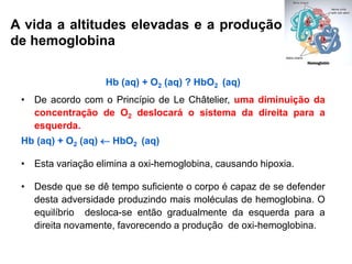 A vida a altitudes elevadas e a produção
de hemoglobina

                   Hb (aq) + O2 (aq) ? HbO2 (aq)
 • De acordo com o Princípio de Le Châtelier, uma diminuição da
   concentração de O2 deslocará o sistema da direita para a
   esquerda.
 Hb (aq) + O2 (aq)  HbO2 (aq)

 • Esta variação elimina a oxi-hemoglobina, causando hipoxia.

 • Desde que se dê tempo suficiente o corpo é capaz de se defender
   desta adversidade produzindo mais moléculas de hemoglobina. O
   equilíbrio desloca-se então gradualmente da esquerda para a
   direita novamente, favorecendo a produção de oxi-hemoglobina.
 