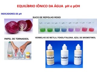 EQUILÍBRIO IÔNICO DA ÁGUA pH e pOH
INDICADORES DE pH
                       SUCO DE REPOLHO ROXO




                        VERMELHO DE METILA, FENOLFTALEINA, AZUL DE BROMOTIMOL
  PAPEL DE TORNASSOL
 