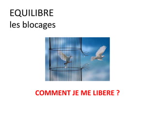 EQUILIBRE
les blocages
COMMENT JE ME LIBERE ?
 