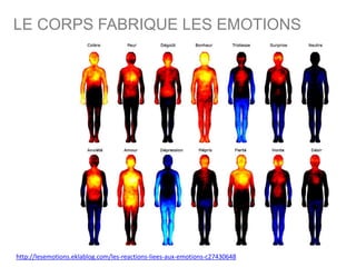 LE CORPS FABRIQUE LES EMOTIONS
http://lesemotions.eklablog.com/les-reactions-liees-aux-emotions-c27430648
 