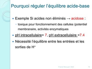 Pourquoi réguler l’équilibre acide-base
 Exemple Si acides non éliminés → acidose :
◦ toxique pour fonctionnement des cellules (potentiel
membranaire, activités enzymatiques
 pH intracellulaire= 7, pH extracellulaire =7.4
 Nécessité l’équilibre entre les entrées et les
sorties de H+
16Franck Rencurel 2020
 