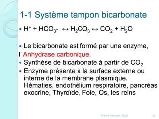 1-1 Système tampon bicarbonate
 H+ + HCO3- ↔ H2CO3 ↔ CO2 + H2O
 Le bicarbonate est formé par une enzyme,
l’ Anhydrase carbonique.
 Synthèse de bicarbonate à partir de CO2
 Enzyme présente à la surface externe ou
interne de la membrane plasmique.
Hématies, endothélium respiratoire, pancréas
exocrine, Thyroïde, Foie, Os, les reins
25Franck Rencurel 2020
 
