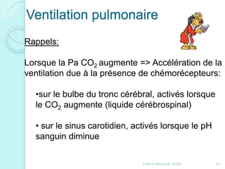Ventilation pulmonaire
35Franck Rencurel 2020
Rappels:
Lorsque la Pa CO2 augmente => Accélération de la
ventilation due à la présence de chémorécepteurs:
•sur le bulbe du tronc cérébral, activés lorsque
le CO2 augmente (liquide cérébrospinal)
• sur le sinus carotidien, activés lorsque le pH
sanguin diminue
 