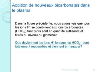 Franck Rencurel 2020 41
Addition de nouveaux bicarbonates dans
le plasma
Dans la figure précédente, nous avons vus que tous
les ions H+ se combinent aux ions bicarbonates
(HCO3
-) tant qu’ils sont en quantité suffisante et
filtrés au niveau du glomérule.
Que deviennent les ions H+ lorsque les HCO3
- sont
totalement réabsorbés et viennent à manquer?
 