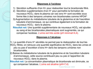 Franck Rencurel 2020 46
Réponses à l’acidose
1) Sécrétion suffisante d’ion H+ pour réabsorber tout le bicarbonate filtré.
2) Sécrétion supplémentaire d’ion H+ pour permettre la formation de
nouveaux HCO3
- dans le plasma car ces ions H+ sont excrétés sous
forme liée à des tampons urinaires non bicarbonates comme HPO42-
3) Augmentation du métabolisme tubulaire de la glutamine et de l’excrétion
tubulaire d’ammoniaque, ce qui contribue également à la formation de
nouveaux HCO3
- dans le plasma.
Résultat net: Une quantité supplémentaire de nouveaux HCO3
- est ajoutée
au sang et les bicarbonates plasmatiques sont augmentés, ce qui
compense l’acidose. L’urine est très acide (pH minimal=4,4).
Réponses à l’alcalose
1) La quantité d’ions H+ sécrétés ne permet pas la réabsorption de tout les
HCO3
- filtrés; on retrouve une quantité significative de HCO3
- dans les urines et
peu ou pas d’’excrétion d’ions H+ dans les tampons urinaires non
bicarbonatés.
2) Baisse du métabolisme tubulaire de la glutamine et de l’excrétion tubulaire
d’ammoniaque, cette source contribuant peu ou pas à l’apparition de
nouveaux HCO3
- dans le plasma.
Résultat net: La concentration plasmatique de bicarbonate est diminuée, ce
qui compense l’alcalose. L’urine est alcaline (pH>7,4)
 