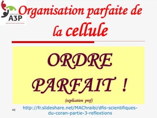Organisation parfaite de
la cellule
40
ORDRE
PARFAIT !
(explication prof)
http://fr.slideshare.net/MAChraibi/dfis-scientifiques-
du-coran-partie-3-reflextions
 