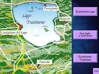 Ecosistema Lago




   Due laghi
  a confronto




  Ecosistema
   Trasimeno



                FINE
 