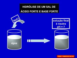 HIDRÓLISE DE UM SAL DE
ÁCIDO FORTE E BASE FORTE
água
NaCl
solução final
é neutra
pH = 7
PROF. VINICIUS SILVA
 