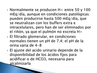 Equilibrio acido-base | PPTX