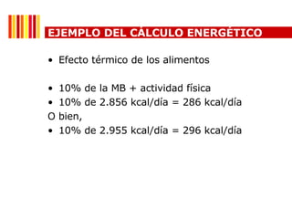 Efecto t érmico de los alimentos 10% de la MB  + actividad física 10% de 2.856 kcal/d ía = 286 kcal/día O bien, 10% de 2.955 kcal/día = 296 kcal/día EJEMPLO DEL CÁLCULO ENERGÉTICO 