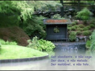 Ser obediente, e não cego. Ser doce, e não melado. Ser moldável, e não tolo. 