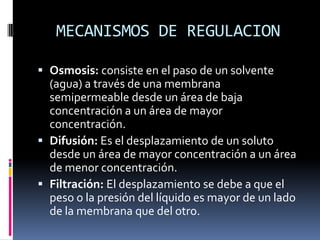 MECANISMOS DE REGULACIONOsmosis: consiste en el paso de un solvente (agua) a través de una membrana semipermeable desde un área de baja concentración a un área de mayor concentración.Difusión: Es el desplazamiento de un soluto desde un área de mayor concentración a un área de menor concentración.Filtración: El desplazamiento se debe a que el peso o la presión del líquido es mayor de un lado de la membrana que del otro.