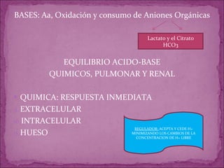 BASES: Aa, Oxidación y consumo de Aniones Orgánicas EQUILIBRIO ACIDO-BASE QUIMICOS, PULMONAR Y RENAL QUIMICA: RESPUESTA INMEDIATA EXTRACELULAR INTRACELULAR HUESO Lactato y el Citrato HCO3 REGULADOR:  ACEPTA Y CEDE H+ MINIMIZANDO LOS CAMBIOS DE LA CONCENTRACION DE H+ LIBRE 