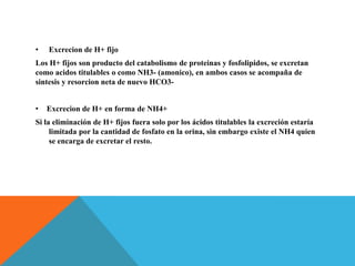 • Excrecion de H+ fijo
Los H+ fijos son producto del catabolismo de proteinas y fosfolipidos, se excretan
como acidos titulables o como NH3- (amonico), en ambos casos se acompaña de
sintesis y resorcion neta de nuevo HCO3-
• Excrecion de H+ en forma de NH4+
Si la eliminación de H+ fijos fuera solo por los ácidos titulables la excreción estaría
limitada por la cantidad de fosfato en la orina, sin embargo existe el NH4 quien
se encarga de excretar el resto.
 