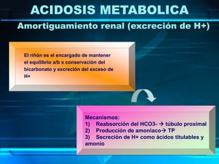 El riñón es el encargado de mantener
el equilibrio a/b x conservación del
bicarbonato y excreción del exceso de
H+
ACIDOSIS METABOLICA
Amortiguamiento renal (excreción de H+)
Mecanismos:
1) Reabsorción del HCO3-  túbulo proximal
2) Producción de amoniaco TP
3) Secreción de H+ como ácidos titulables y
amonio
 