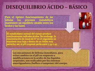 DESEQUILIBRIO ÁCIDO – BÁSICO