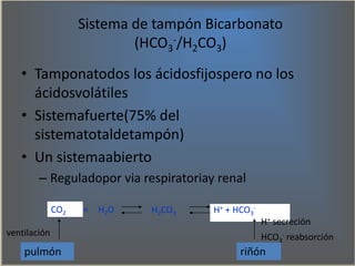 Sistema de tampón Bicarbonato
(HCO3
-/H2CO3)
• Tamponatodos los ácidosfijospero no los
ácidosvolátiles
• Sistemafuerte(75%...