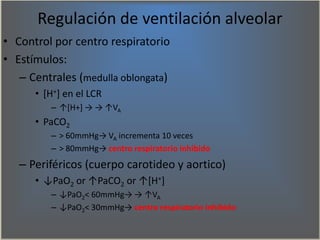 Regulación de ventilación alveolar
• Control por centro respiratorio
• Estímulos:
– Centrales (medulla oblongata)
• [H+] e...