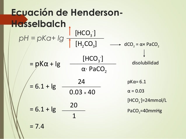 Equilibrio acido base