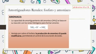 Amortiguadores Renales: fosfato y amoniaco
AMONIACO:
• La capacidad de amortiguamiento del amoníaco (NH3) se basa en
su reacción con los iones hidrógeno para formar amonio:
• Ventaja por sobre el fosfato: la producción de amoníaco SI puede
modificarse, permitiendo el control de la excreción de ácido.
pH de orina: 4.5 a 7.8
 