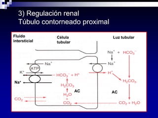 Equilibrio Acido Base Dra Costa